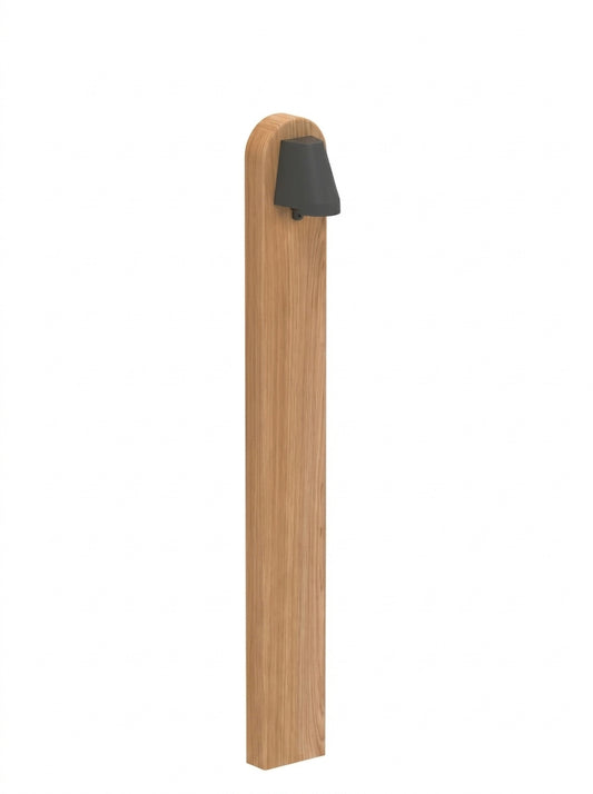 BEAMY 100